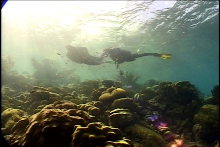 Scuba Diving in Caymans Islands