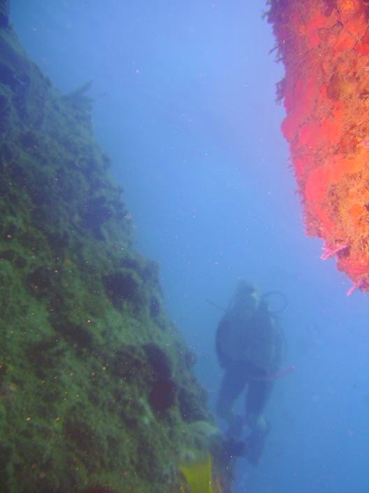 Aruba-Buceando entre rocas