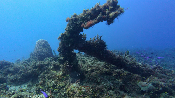 Russian tanks in Cuba